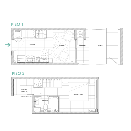 imagen planta